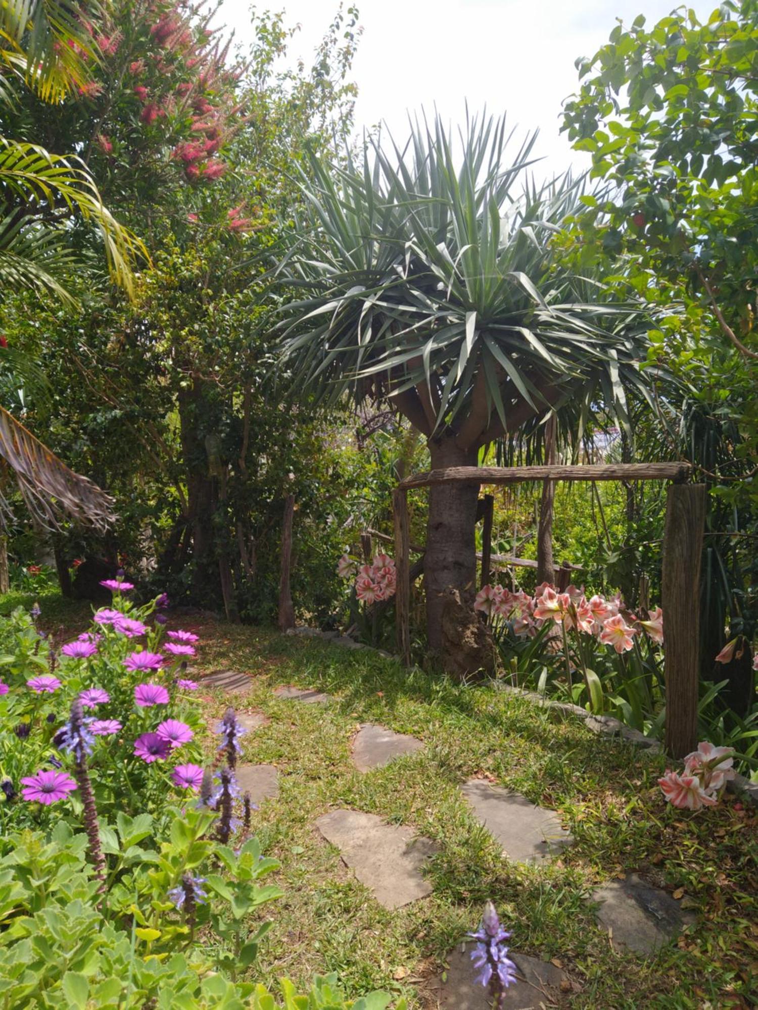 Biofuncho Garden Apartment *
